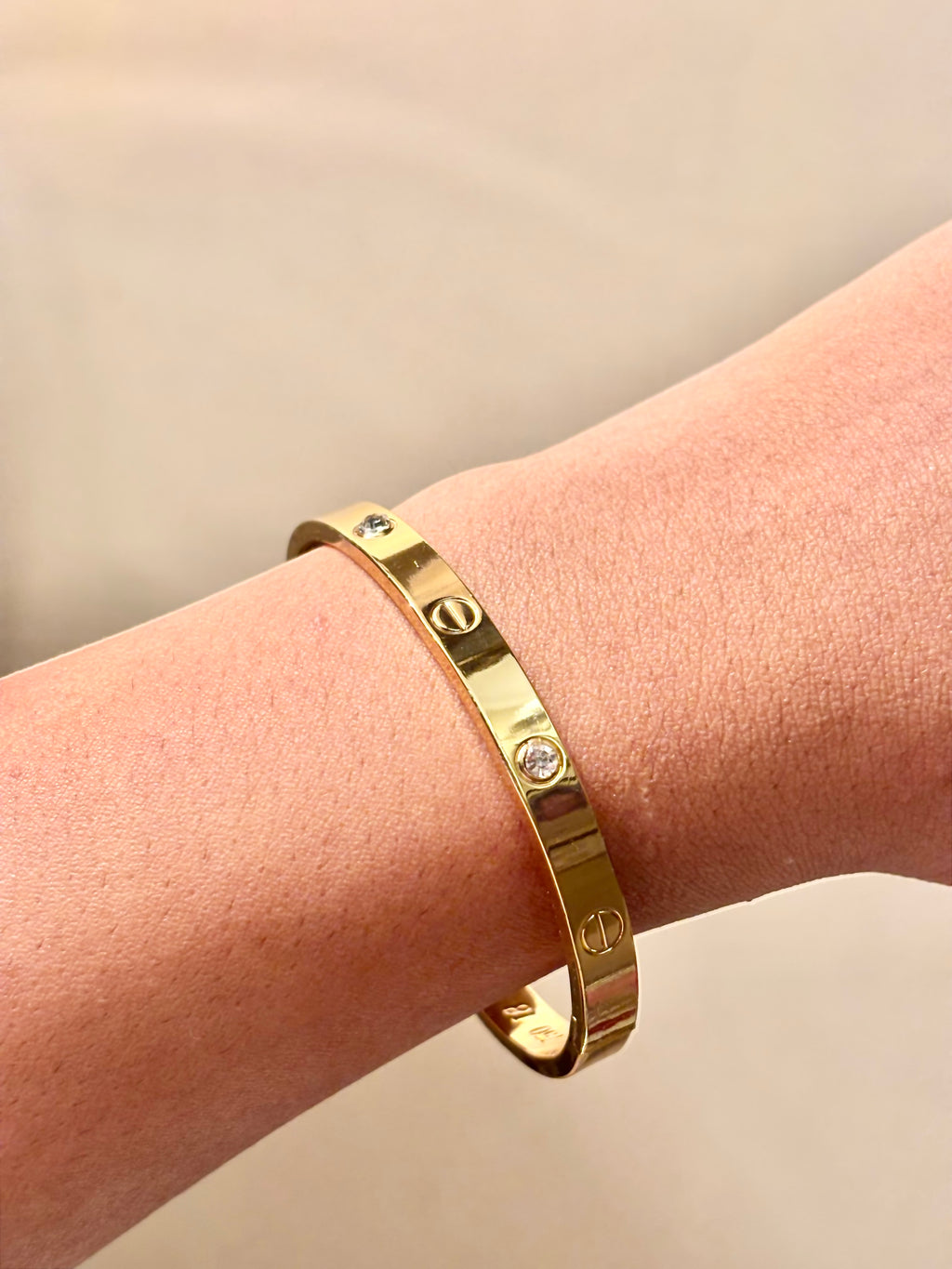 THE AMORE LOVE BAND